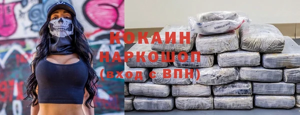 прущие грибы Россошь