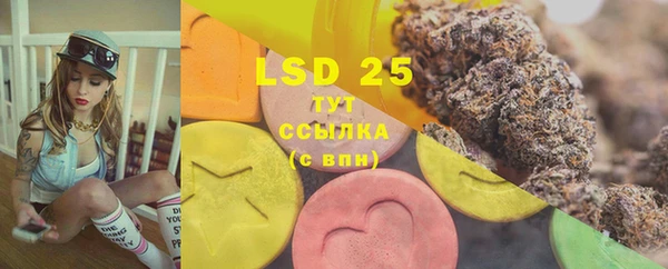 PSILOCYBIN Ростов
