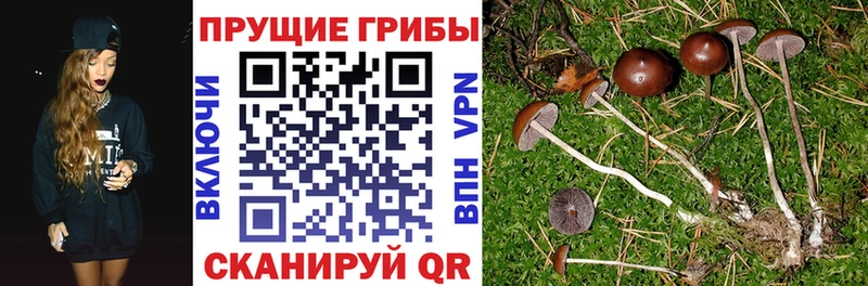 Галлюциногенные грибы ЛСД  Ясногорск 
